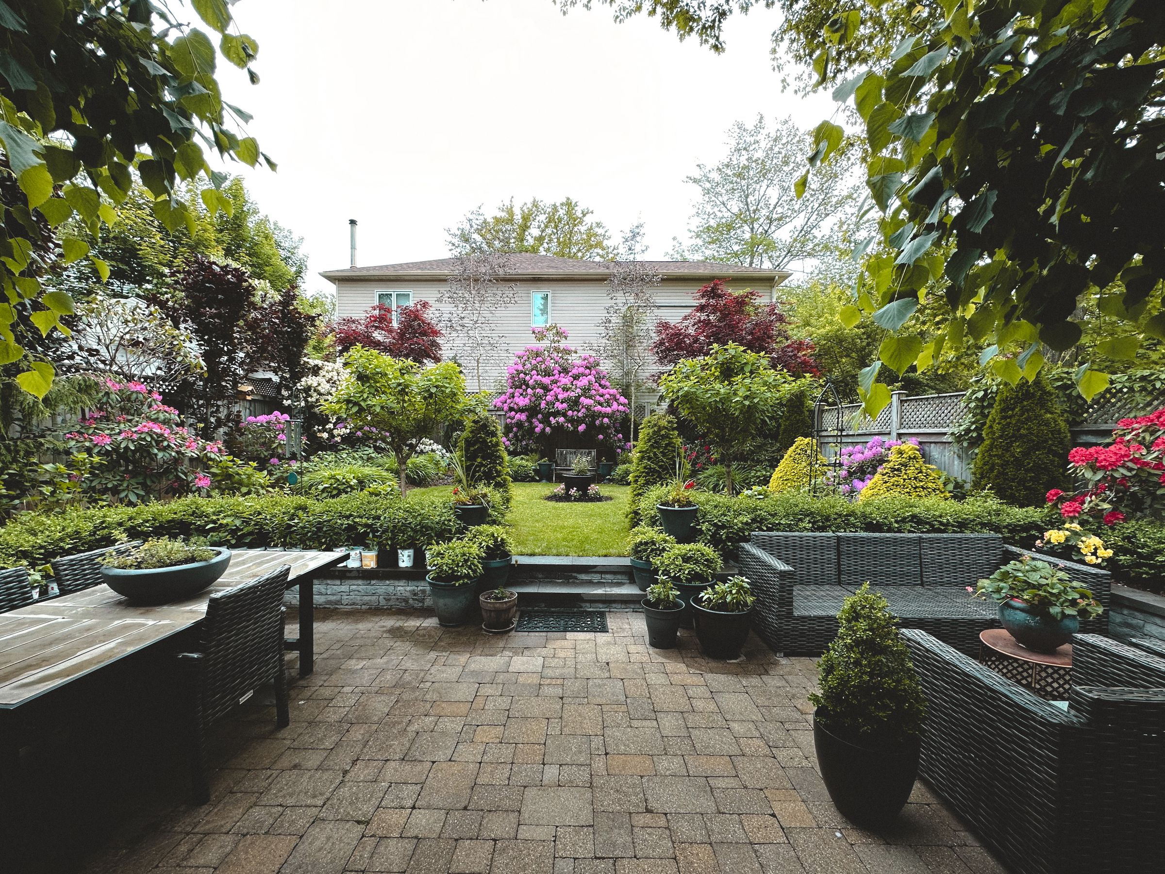 Backyard paver patio with a low wall and steps to the lawn