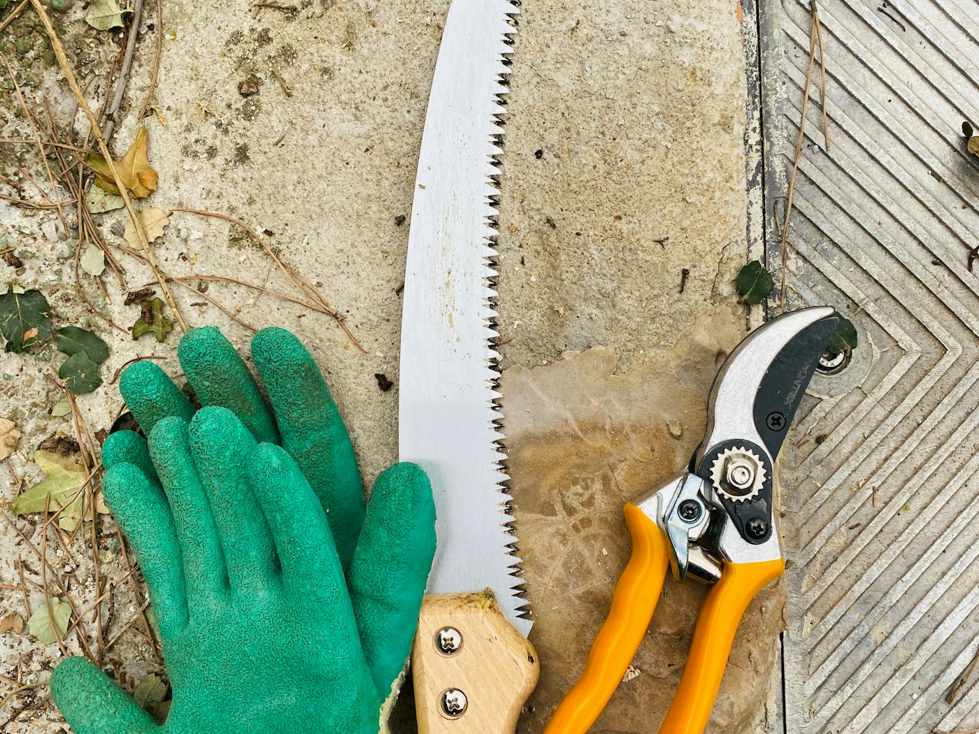 Pruning saw, bypass pruners, and a work glove laid out on concrete