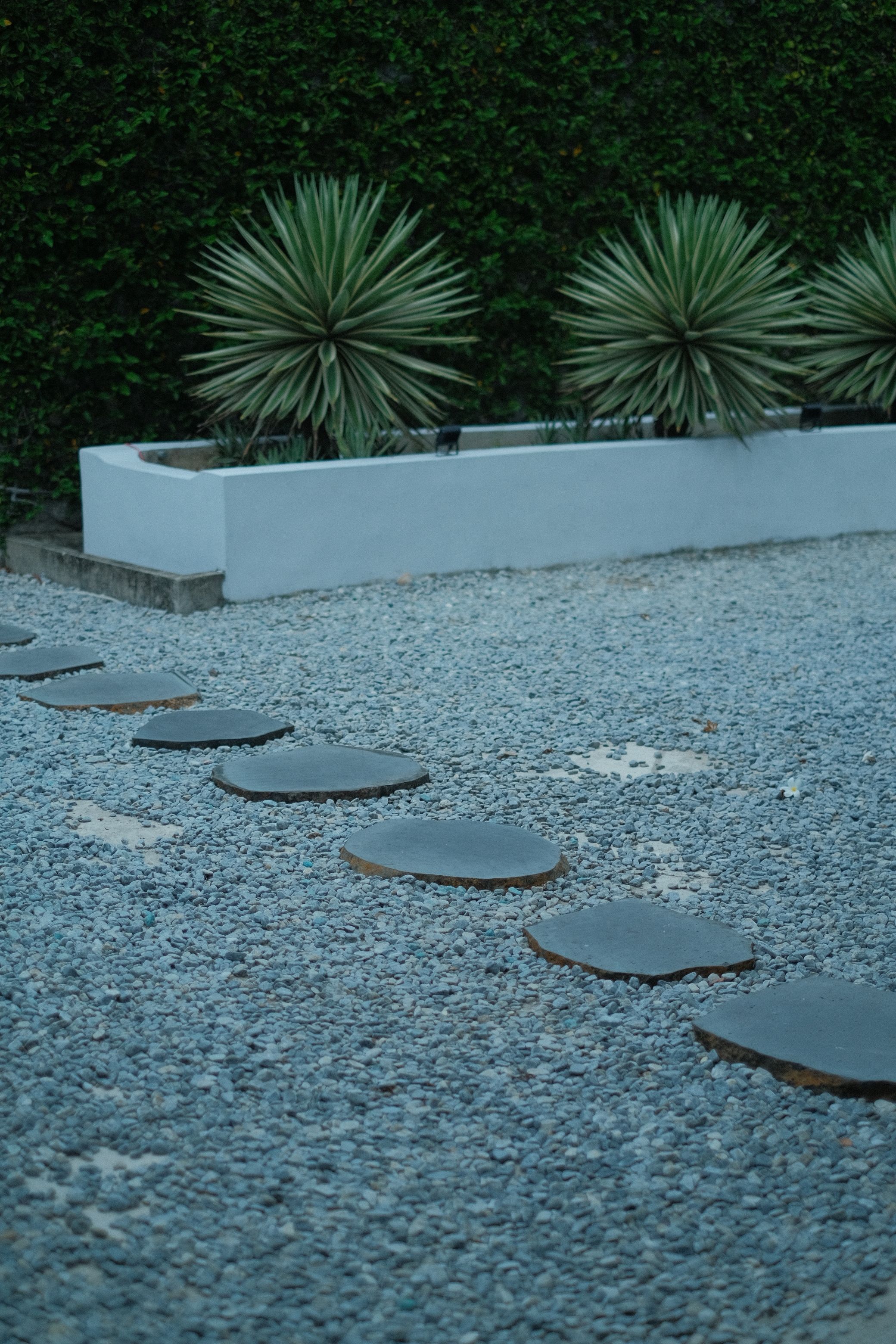 Gravel yard with stone stepping pads and a stucco planter wall